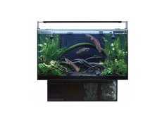 画像1: 【飼育用品・器具】【通販】【水槽】GEX アグス ４５０(淡水 海水用) (1)