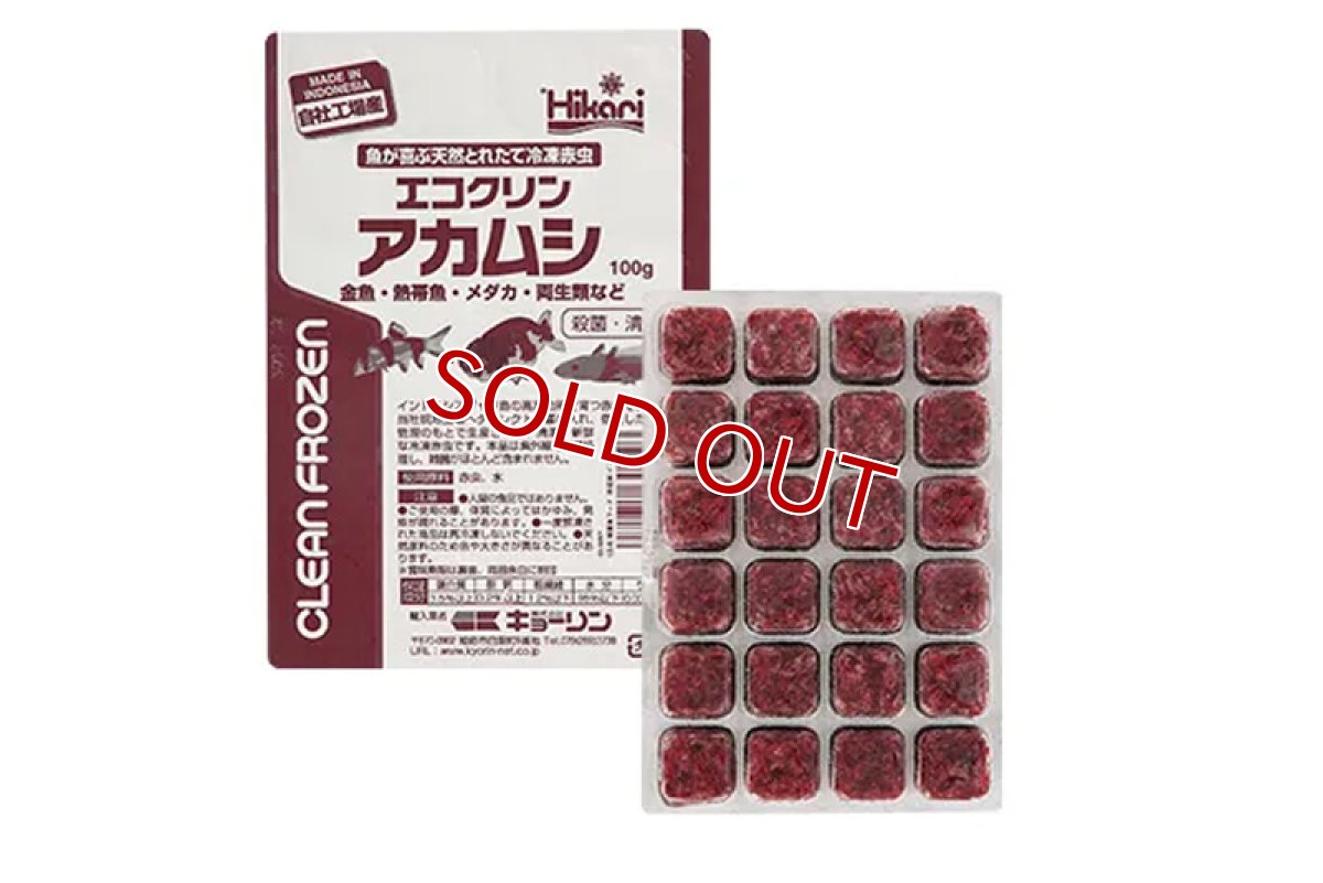 画像1: 【飼育用品・餌】 エコクリンアカムシ 100ｇ /1枚【冷凍餌】 (淡水用)(餌) (1)